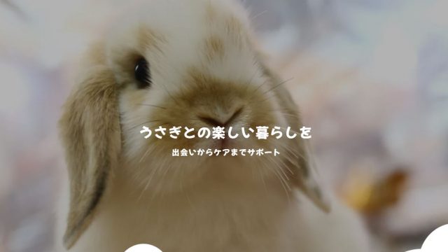 RABBIT COTTON